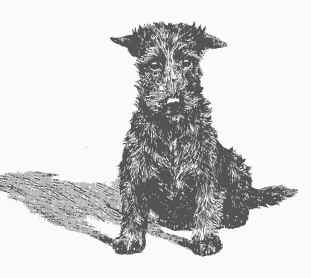 earsback.jpg (235985 bytes)