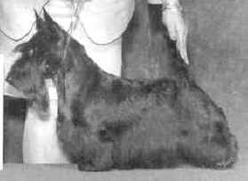 good1.jpg (12752 bytes)