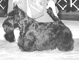 good2.jpg (23991 bytes)