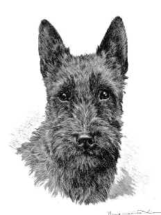 goodears.jpg (102259 bytes)