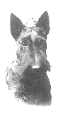 goodeye.jpg (16041 bytes)