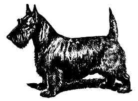 megargee.jpg (185939 bytes)