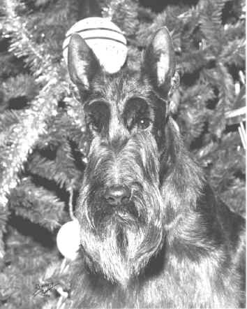 mikyhead.jpg (117214 bytes)