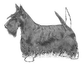 miss&megargee.jpg (28008 bytes)